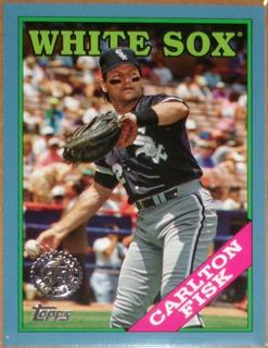 Carlton Fisk