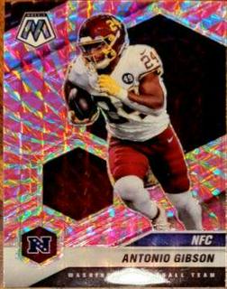 Antonio Gibson