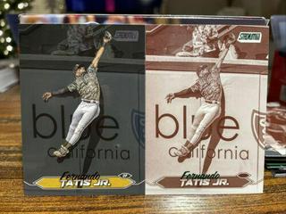 Fernando Tatis Jr.