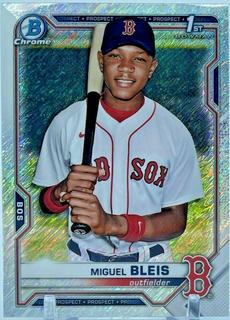 Miguel Bleis