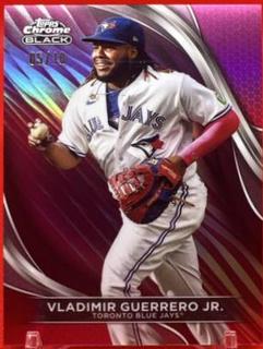 Vladimir Guerrero Jr.