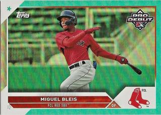 Miguel Bleis