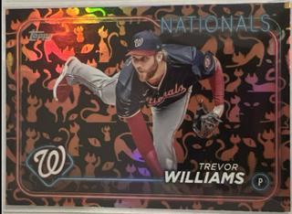 Trevor Williams