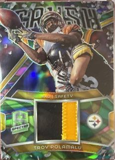 Troy Polamalu