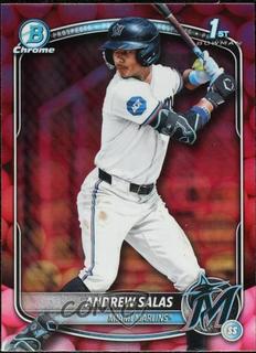 Andrew Salas