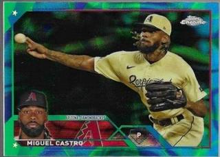 Miguel Castro