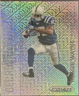 Reggie Wayne