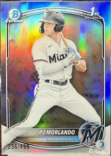 PJ Morlando