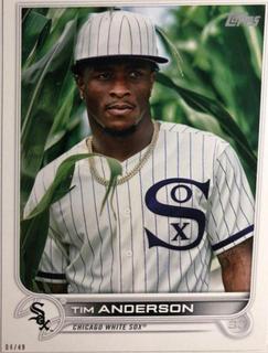 Tim Anderson