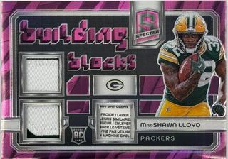 MarShawn Lloyd