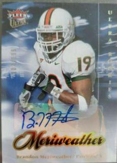 Brandon Meriweather
