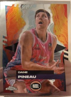 Dane Pineau