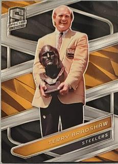 Terry Bradshaw