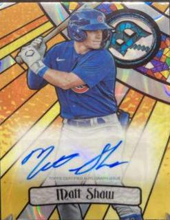 Matt Shaw