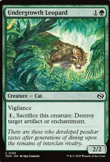Undergrowth Leopard