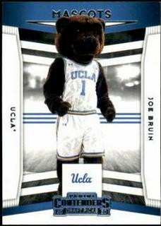 Joe Bruin