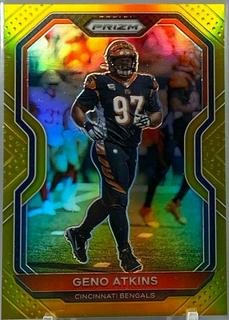 Geno Atkins
