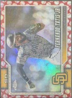 Fernando Tatis Jr.