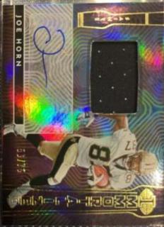 Joe Horn