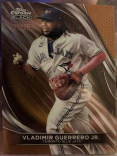 Vladimir Guerrero Jr.