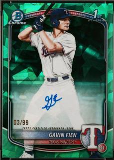 Gavin Fien
