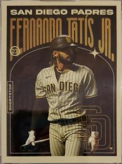 Fernando Tatis Jr.