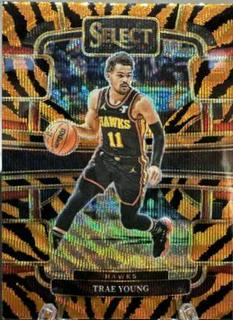 Trae Young