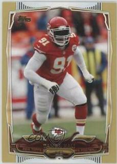 Tamba Hali
