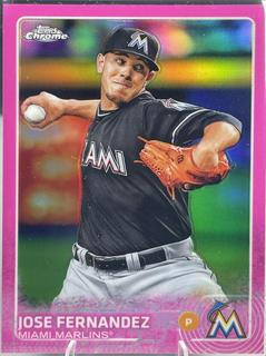Jose Fernandez
