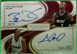 Dwyane Wade / Chris Bosh