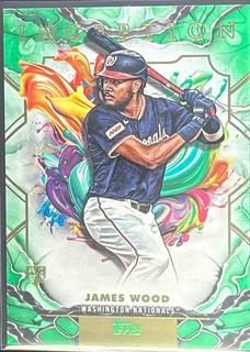 James Wood
