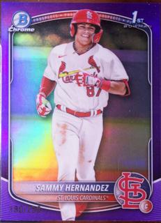 Sammy Hernandez