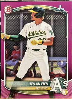 Dylan Fien