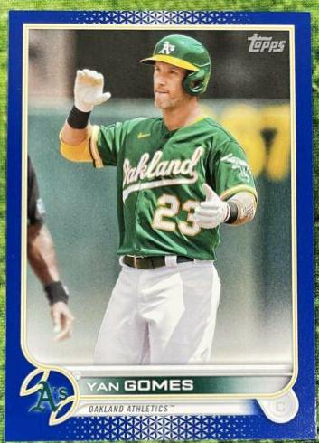Yan Gomes [Royal Blue] #294