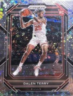 Dalen Terry