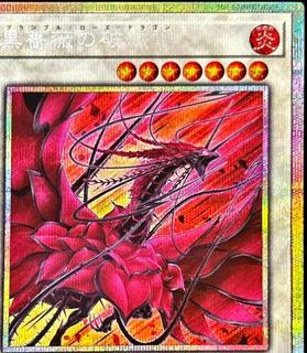 Bramble Rose Dragon DOOD-JP039