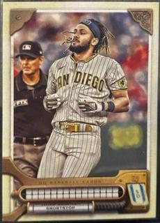 Fernando Tatis Jr.