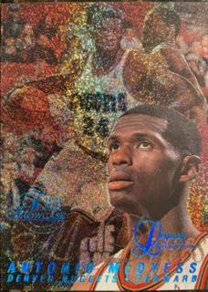 Antonio McDyess