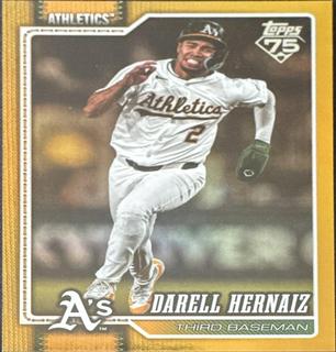 Darell Hernaiz