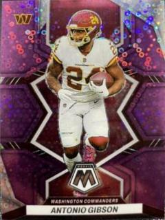 Antonio Gibson