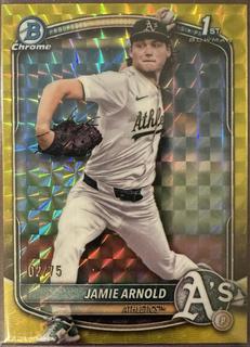 Jamie Arnold