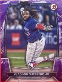 Vladimir Guerrero Jr.