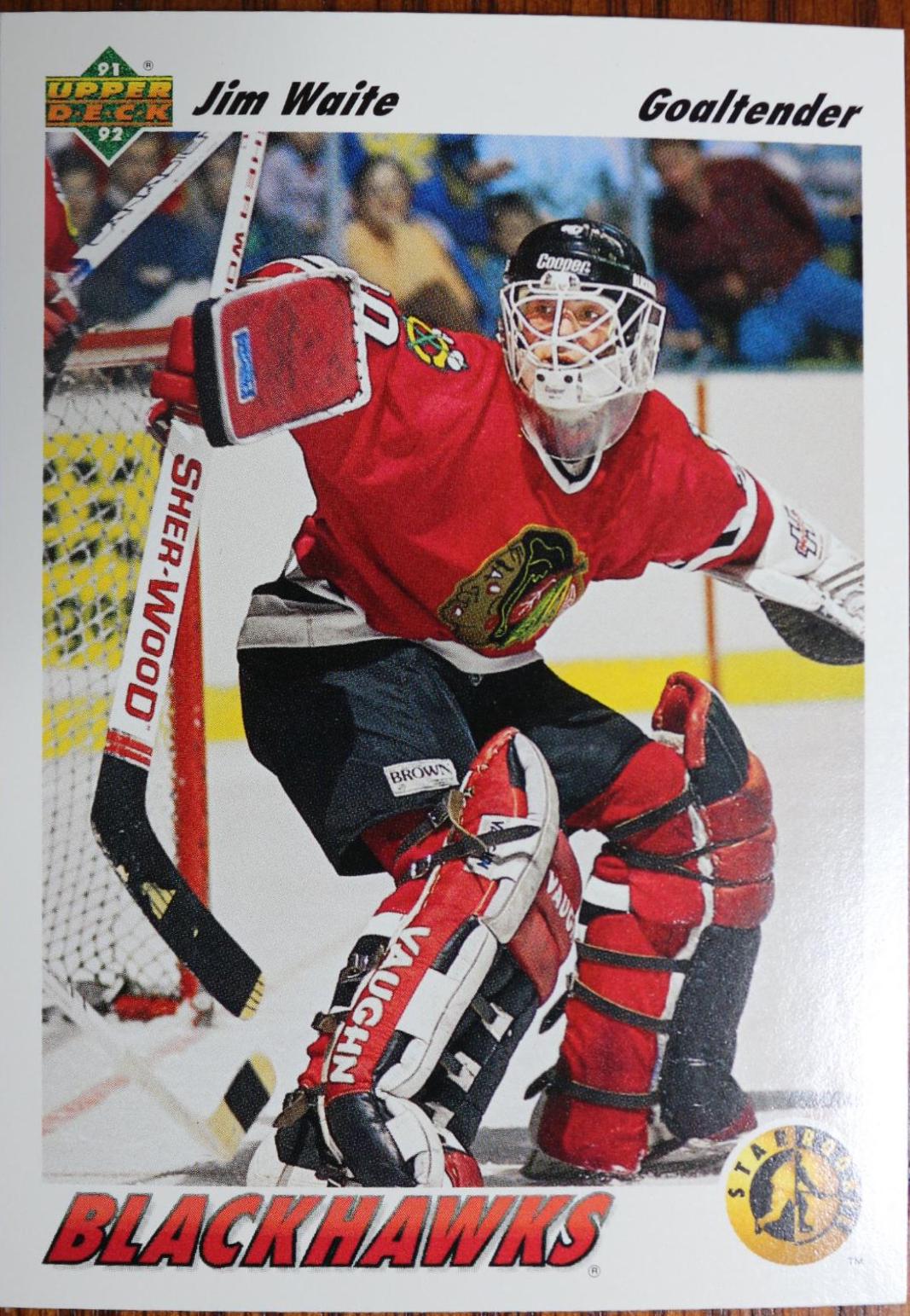 Jim Waite #443 Hockey Cards 1991 Upper Deck