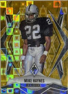 Mike Haynes