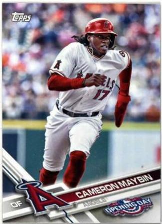 Cameron Maybin #119
