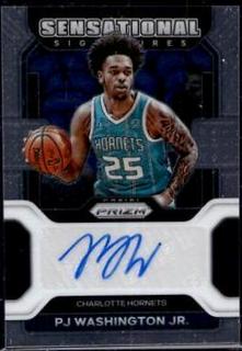 PJ Washington Jr.