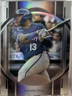 Salvador Perez