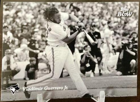 Vladimir Guerrero Jr. [SP] #31