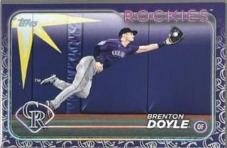 Brenton Doyle