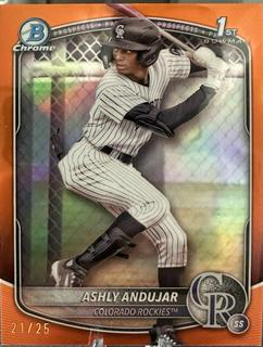Ashly Andujar